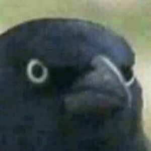 Meet your Posher, Hunter